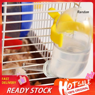 Bình uống nước 50ml hút chân không chống rò rỉ tiện dụng cho chuột hamster