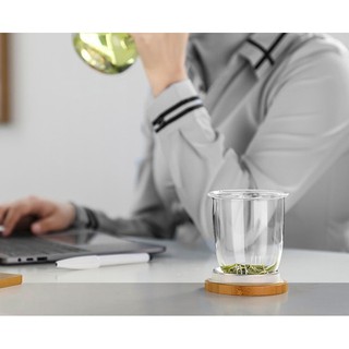Ly lọc trà thủy tinh S024A 500ml