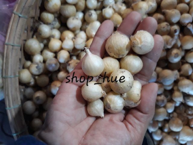 Hành tăm(Ném sạch) 100% nhà trồng 1kg