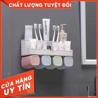 Bộ dụng cụ nhả kem đánh răng lúa mạch 4 cốc kèm giá treo bàn chải Ecoco