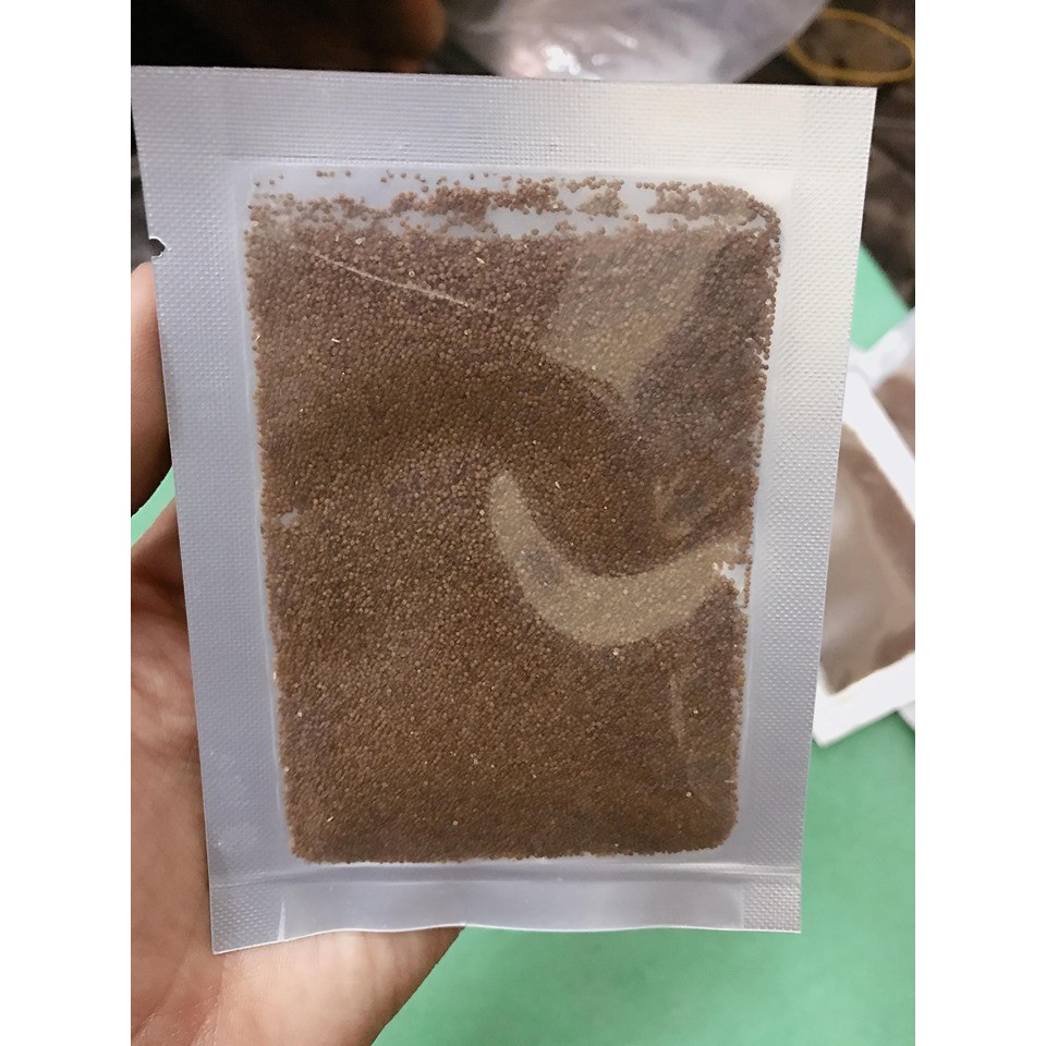 Hạt Giống Chân Châu Trồng Bể Thủy Sinh