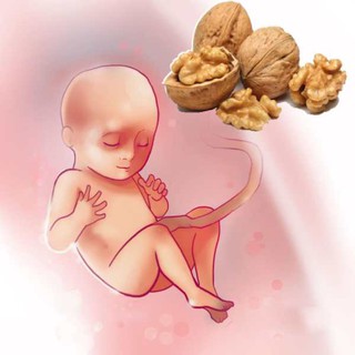 . HẠT ÓC CHÓ VÀNG MỸ 200gr (NGUYÊN HẠT SẤY CHÍN)