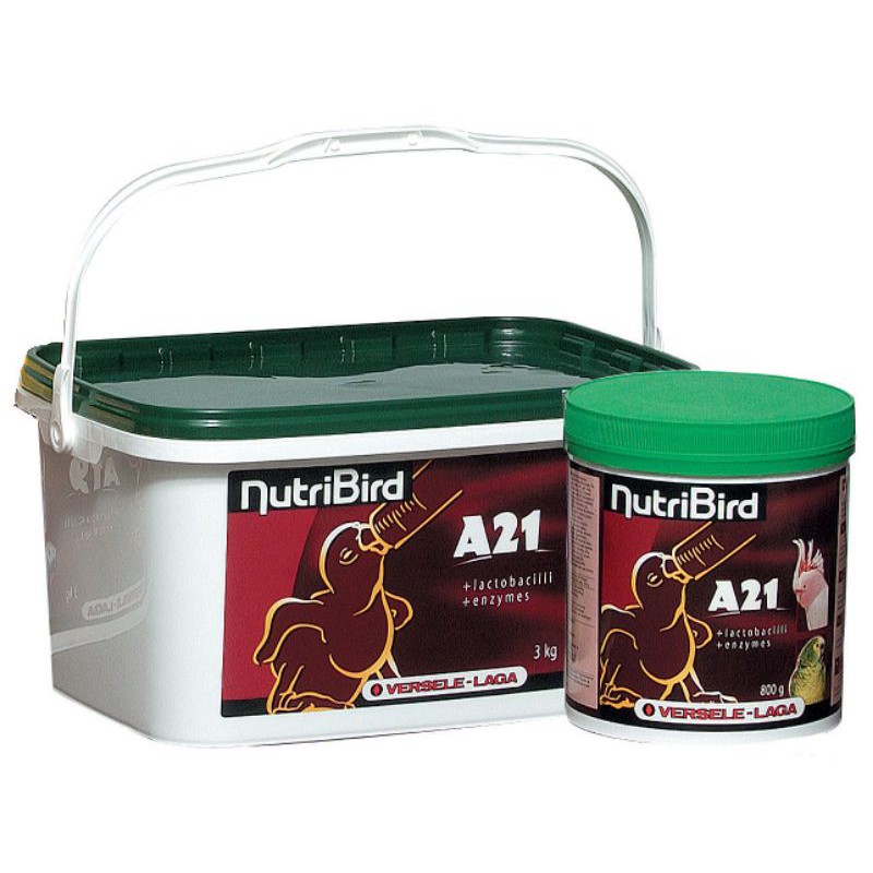 Bột Nutri A21 cho vẹt non
