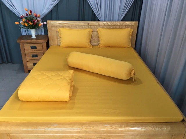 Bộ drap thun màu trơn 1 ga 3 vỏ gối