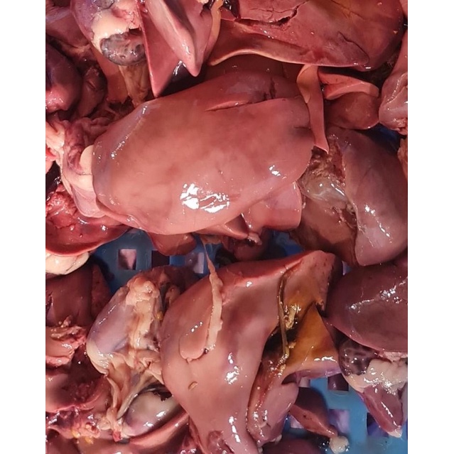 Gan gà sạch loại 1  - Thức ăn cho thú cưng chó mèo