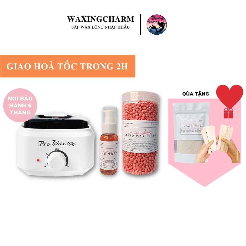Combo Máy Nấu Sáp Prowax200 500gr Sáp Wax Lông Dành Cho Nách, Body, Bikini và 50ml Mỡ Trăn Giúp Tẩy Lông Triệt Lông