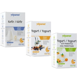 Men làm sữa chua Kefir - Vegan - Probiotic (Yógourmet)