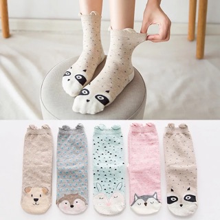 Set 5 đôi tất người lớn dày dặn cực kì kute a0114