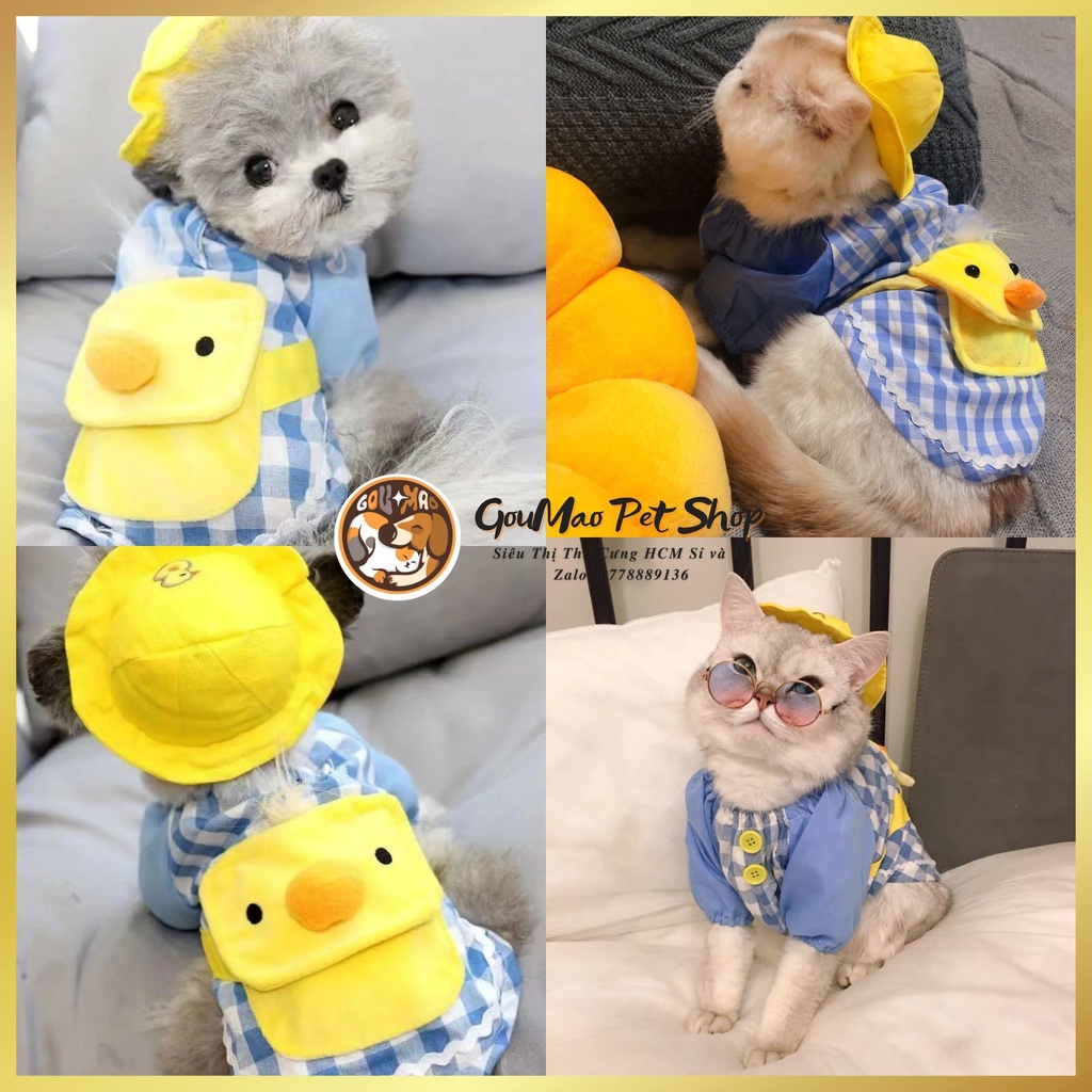 ÁO VỊT KUTE + NÓN DÀNH CHO CHÓ MÈO - GOUMAO PET - tuchau