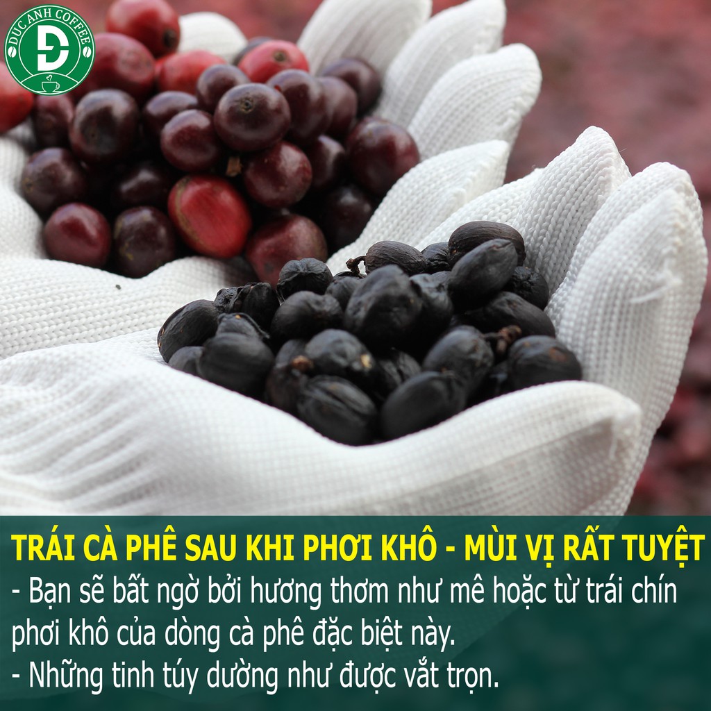 [Hộp Quà Tết] Cà Phê Tết Siêu Đặc Biệt số lượng giới hạn - cafe rang mộc nguyên chất chế biến ướt -· DUC ANH COFFE