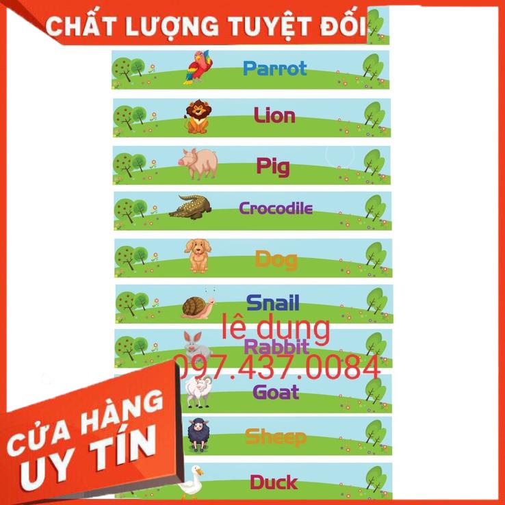 Decal cầu thang