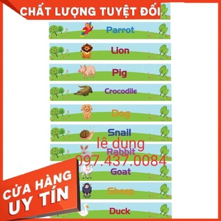 Decal cầu thang