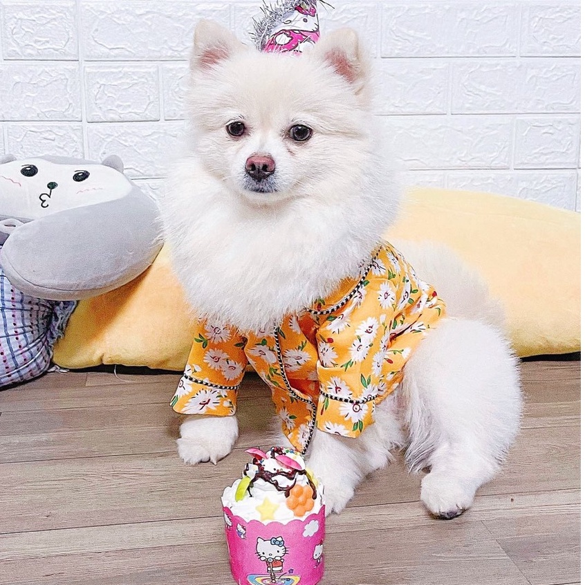 Áo Cho Chó, Áo ngủ cho chó mèo, đủ size xs - xxl, A4