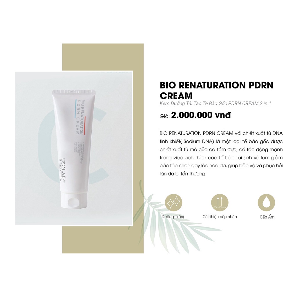 Kem tế bào gốc dưỡng trắng, phục hồi, chống lão hóa Usolab Bio Renaturation PDRN Cream Usolab | BigBuy360 - bigbuy360.vn