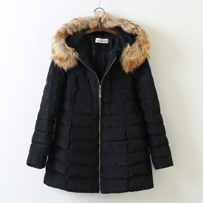 Áo phao nữ lông mũ chần ngang AP7