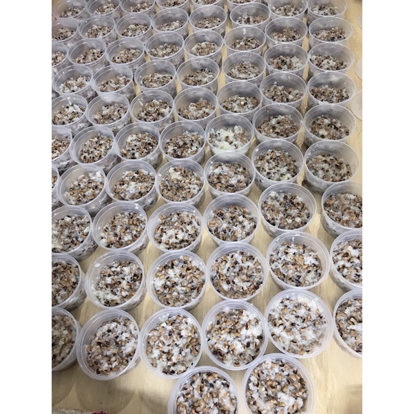 Chè Bánh Xếp/500gr