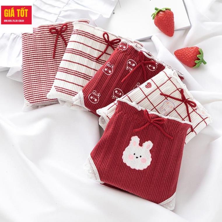 Quần chip bé gái 20kg 30kg 40kg ☑️ quần chip cotton cho be gái (3 - 12 tuổi) ☑️ Thời trang bé gái 9 tuổi