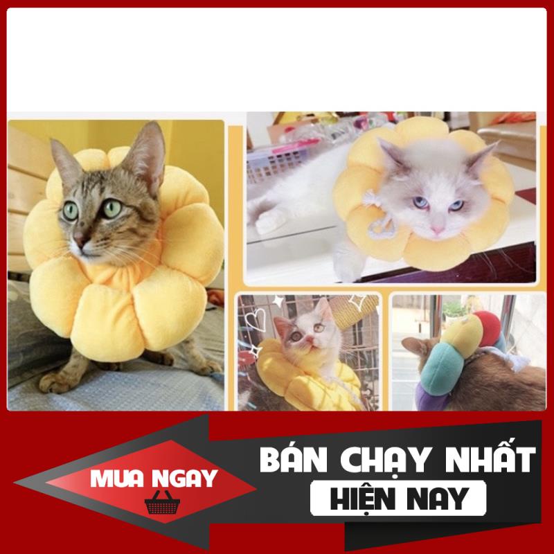 [NEW] Vòng chống liếm hình hoa cho chó mèo bông mềm mịn nhiều màu cao cấp