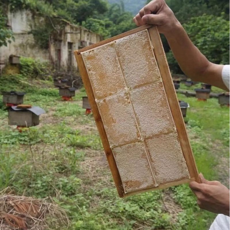 Sáp ong nguyên chất 1kí, miếng to không vụn, đặc sản Tây Nguyên, sáp ong nguyên tổ, chất lượng hảo hạng.