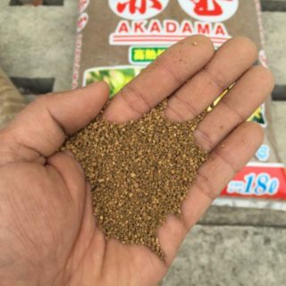Đất nền Super hard akadama 14L size SS 1kg