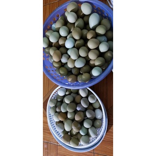 10 trứng trĩ đỏ