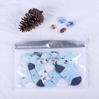 Tất cao cổ Túi Díp 3608 Set 5 đôi