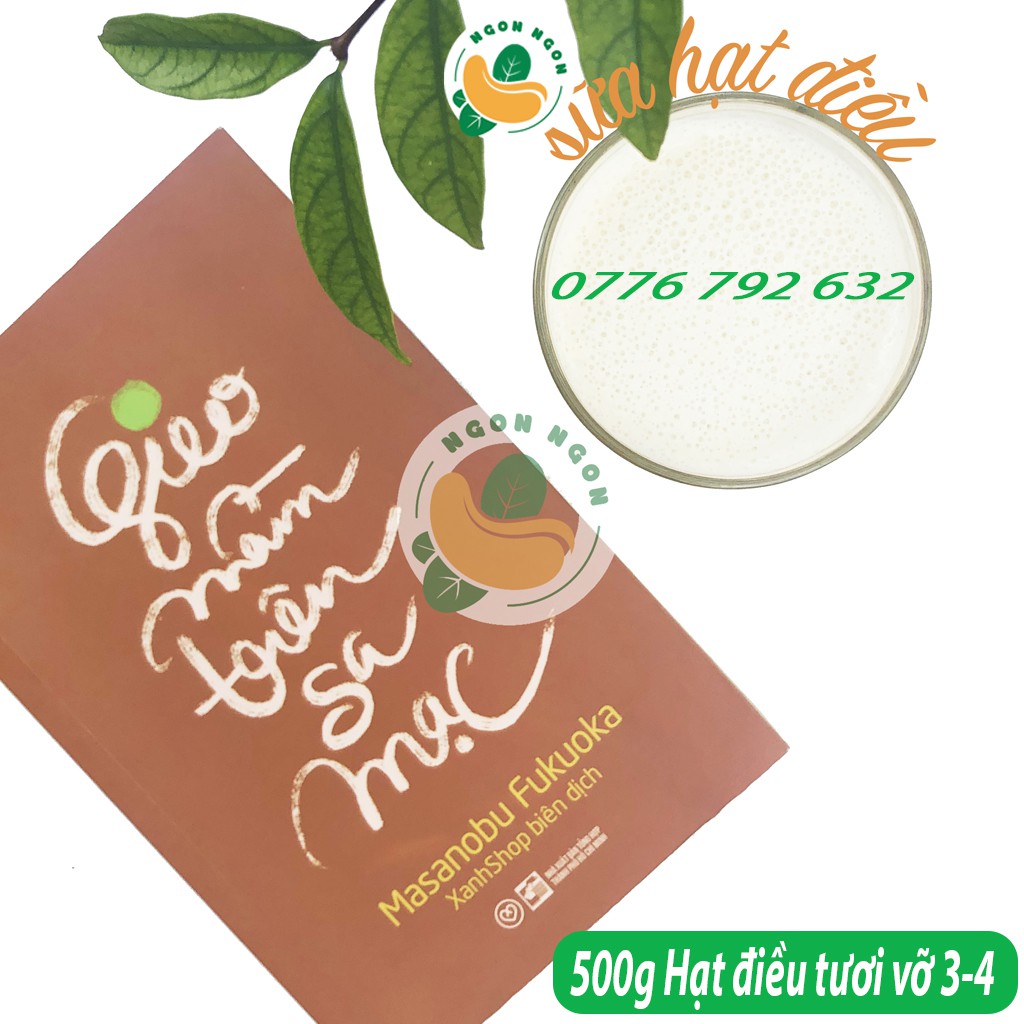 500g Hạt điều tươi vỡ 3-4 | BigBuy360 - bigbuy360.vn