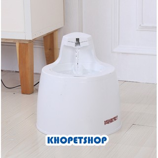 Máy nước tự động trắng