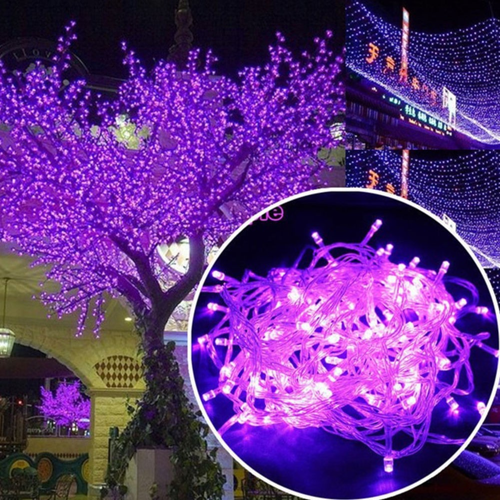 SÉT 10 DÂY ĐÈN LED TRANG TRÍ CHỚP - TÍM