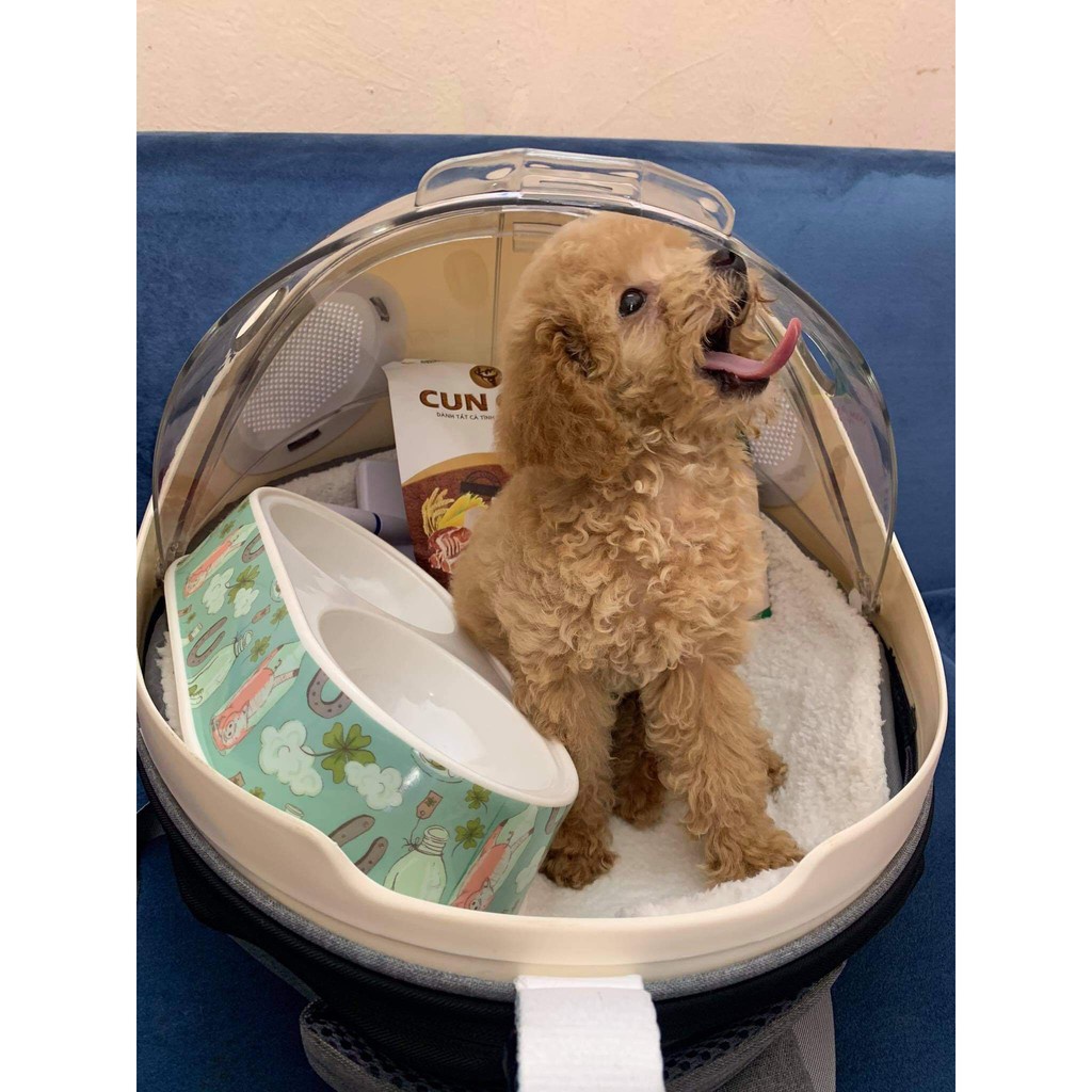 Balô Mèo Phi Hành Gia, Balo Chó Mèo Nắp Trong Suốt Hình Bọ Rùa