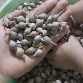 Toi cô đơn phù yên sơn la