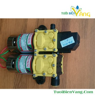 Bộ bơm đôi tăng áp mini kèm đầu vào , đầu ra bơm
