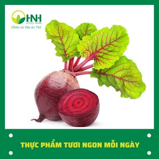 [CHỈ GIAO HÀ NỘI] Củ dền sạch chuẩn ngon, trợ giá mùa dịch - HNH Food Farm