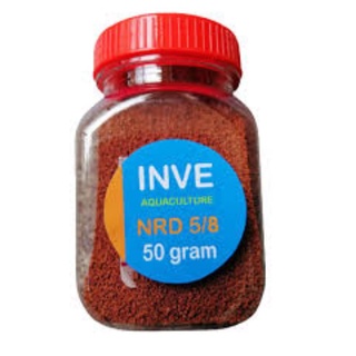 hạt cám cá,có bán cá xiêm,đá,chọi,Betta,liathia,trống