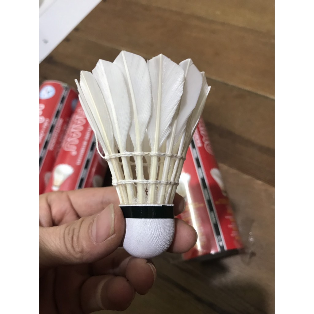[CHÍNH HÃNG] Hộp cầu lông Hải Âu_chính hãng loại hộp 6 quả và loại 12 quả