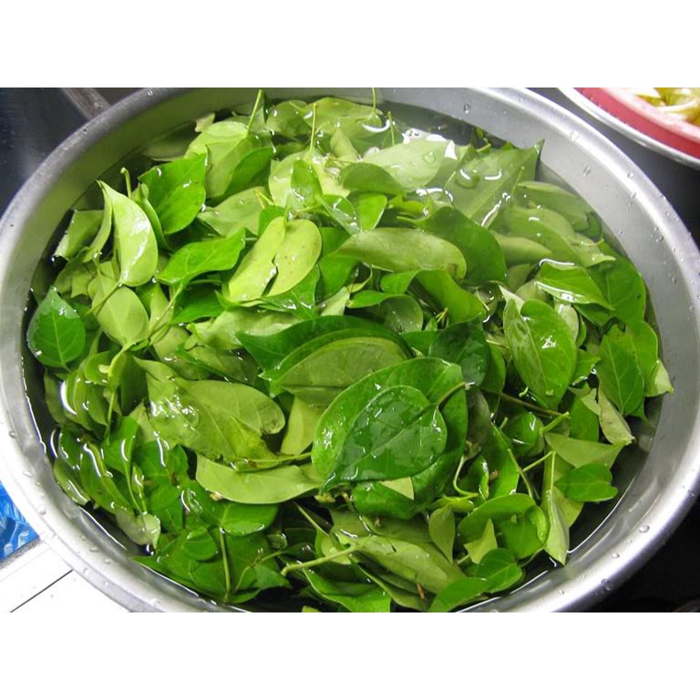 Shop 1K 10H - HẠT GIỐNG LÁ GIANG DƯỢC LIỆU THÂN LEO F1 tặng kích mầm