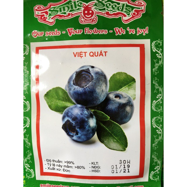 sale off Hạt giống Việt Quất (blue berry) hàng chuẩn cty.