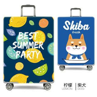 Bọc vali các size