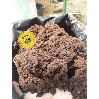 Peatmoss (gói 1kg) rêu bùn, rêu mục đã hoai phù hợp cung cấp mùn, ươm cây các loại