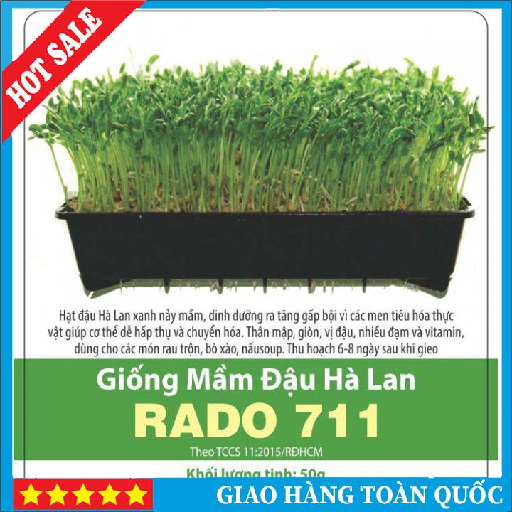 💥FREESHIP💥 Hạt Giống Đậu Hà Lan Rado 711 - Rạng Đông