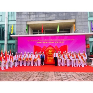 cấp hiệu chỉ huy đội