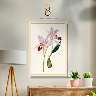 Tranh Canvas | Hoa Lan Cattleya (Cát Lan) Phong Cách Vintage  1FFLO010 | Tranh Căng Khung Cao Cấp | Tặng Kèm Đinh Đa Năn