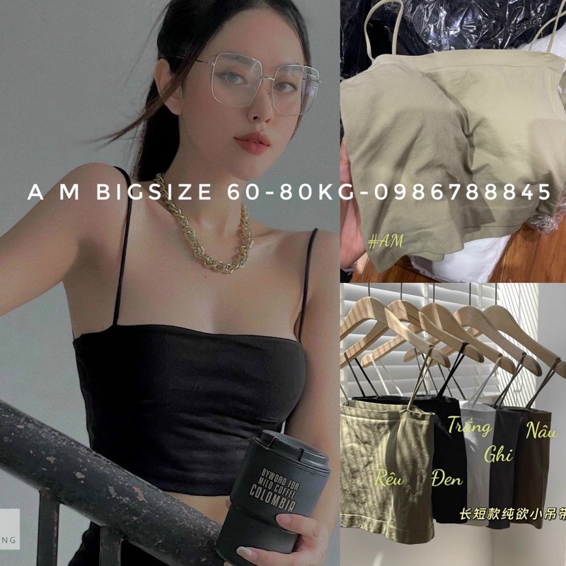 A M BIGSIZE 40-80KG Áo bra sẵn đệm ngực siu dãn