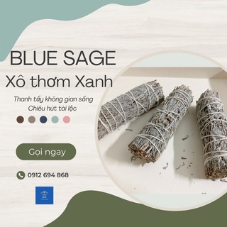 Xô thơm xanh-Blue Sage hút tài chiêu lộc