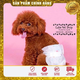 Bỉm cho cún mèo🐶🐱