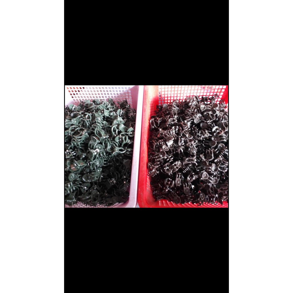 100 kẹp bướm cố định hoa lan