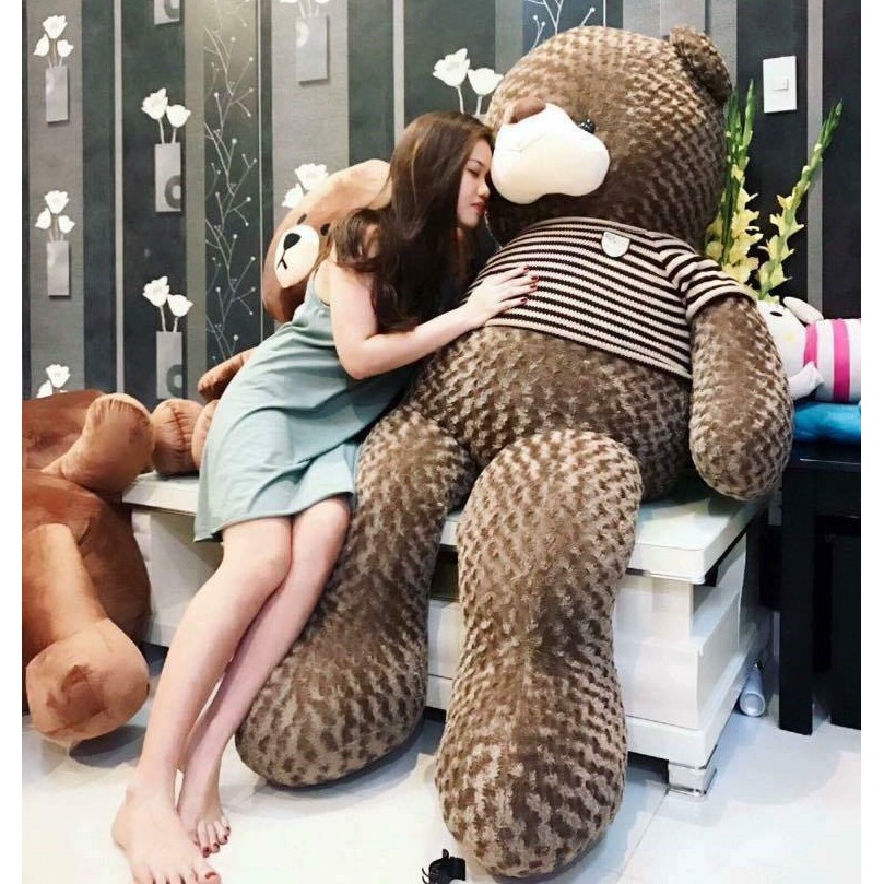 Gấu bông Teddy Cao Cấp khổ vải 2m Cao 1,8m màu Nâu Khói hàng VNXK