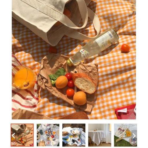 thảm picnic anhtu.mic