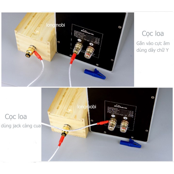 HỘP TIẾP ĐỊA AUDIO AUCHARM VS1, VS3 - TRIỆT TIÊU 100% NHIỄU HỆ THỐNG AUDIO