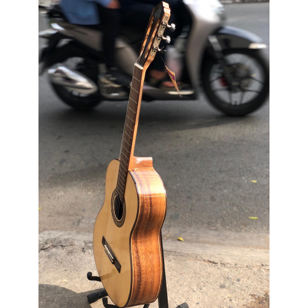 Guitar classic cao cấp gỗ điệp SV-c5